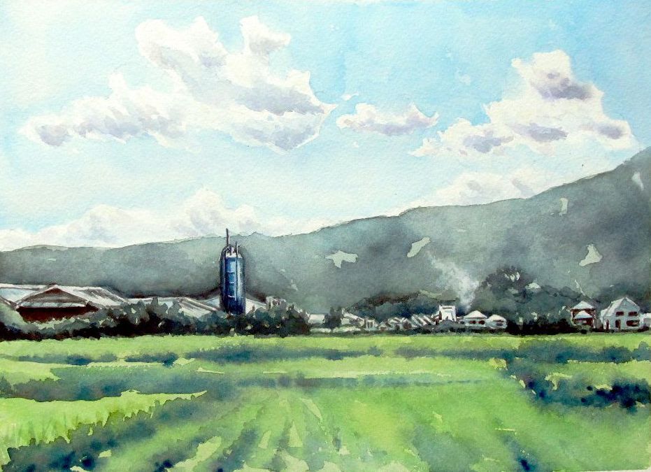 2022.08 夏の田園風景（糸島市波多江） : シニアから始めた透明水彩画