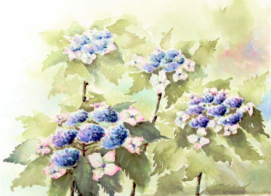 透明水彩画『紫陽花と観る人達』 - 絵画
