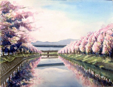 透明水彩画『桜並木』 透明水彩画『桜並木』