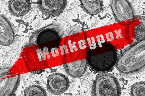 monkey-pox-gb120702c4_640
