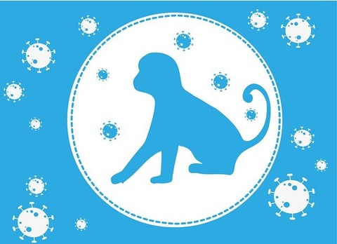 monkey-pox-gc8f74dc0b_640