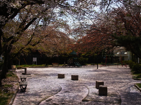 R0011589