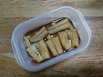 ¤¢¤Ê¤´¼Ñ£²