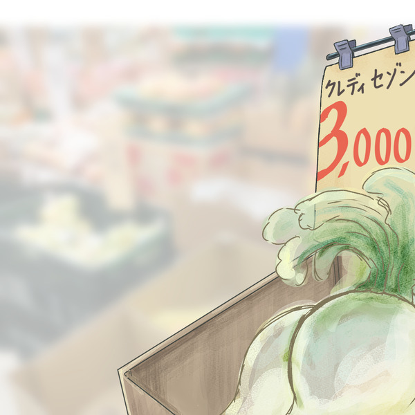 セゾン販促コンペ