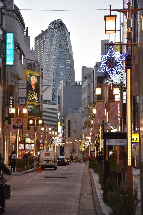 senmon0286