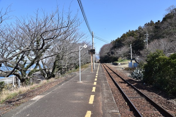 senmon3813