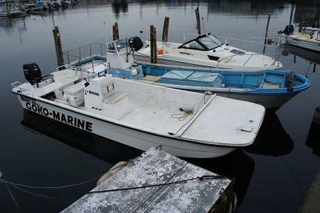 DSC04242-1