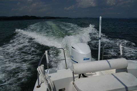 DSC05715-1