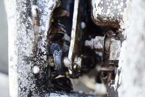 DSC05657-1
