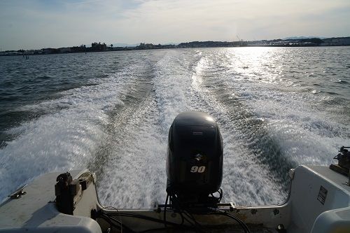DSC00536-1