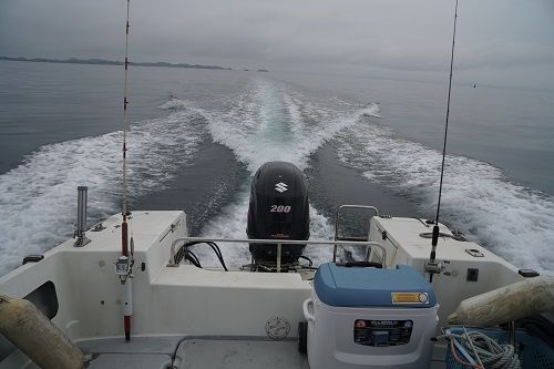 DSC00808-1