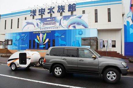 DSC03334-1