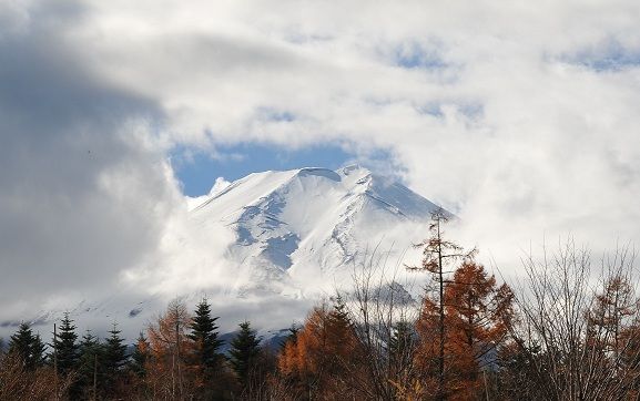 DSC_1549-1