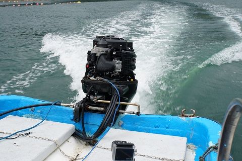 DSC02737-1