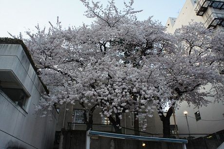 DSC05641-1