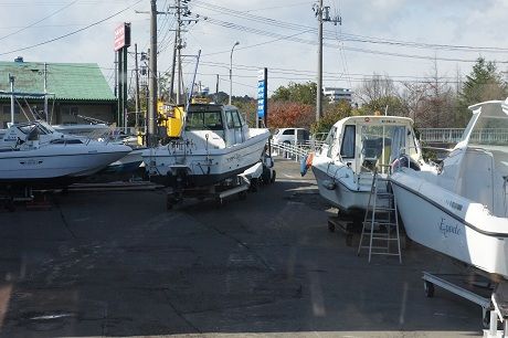 DSC00236-1