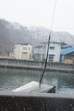 DSC04241-1