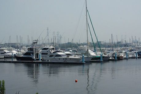 DSC07277-1