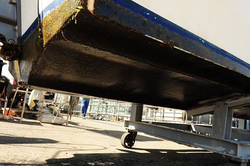 DSC_2297-1