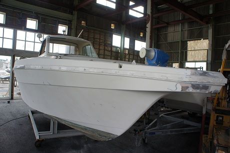 DSC00450-1