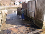 ��������2009-002