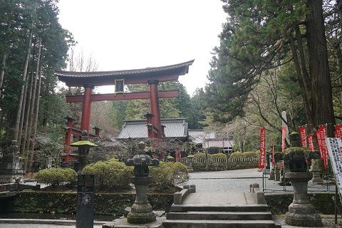 DSC09717-1