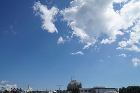 DSC05848-1