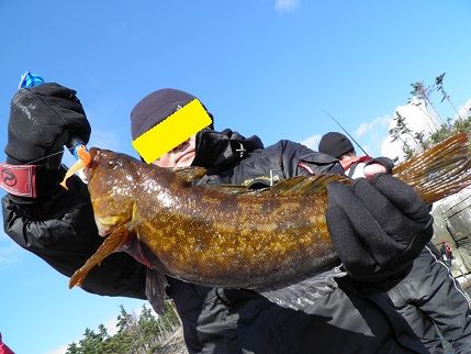PB260388-1