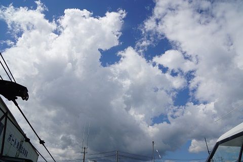 DSC05850-1