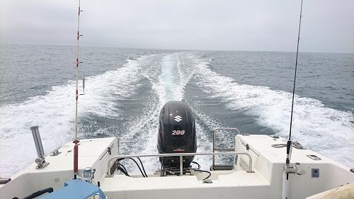 DSC_3742-1
