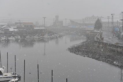 DSC_2571-1