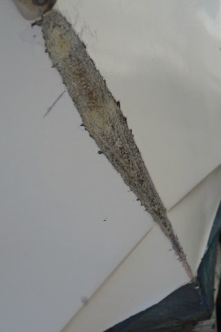 DSC00005-1