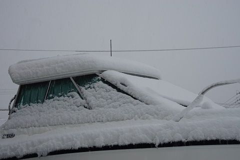 DSC08466-1