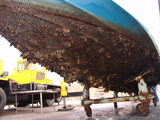 829bdf88.JPE