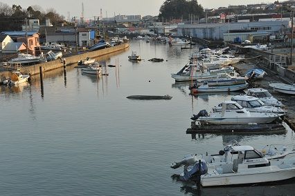DSC_3162-1