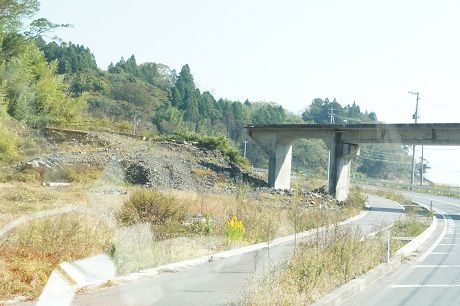 DSC09789-1
