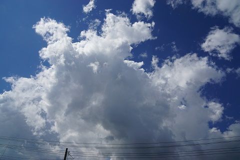 DSC05852-1