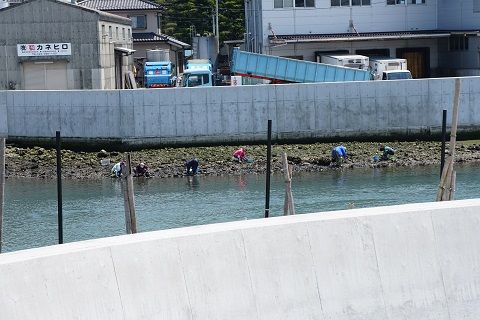 DSC02765-1