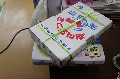 DSC09862-1
