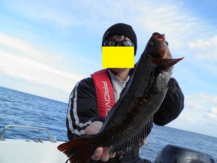 PB260434-1