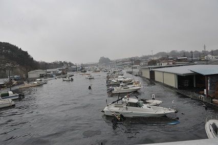 DSC_2572-1