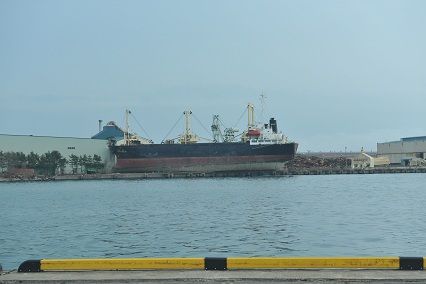 DSC_3209-1