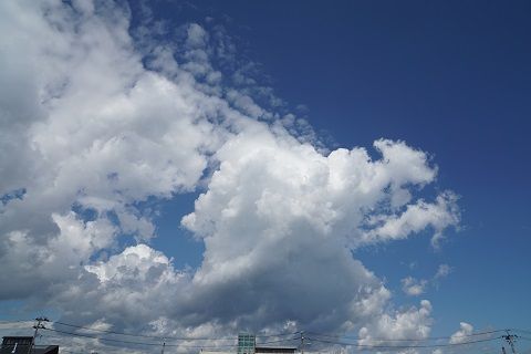 DSC05849-1