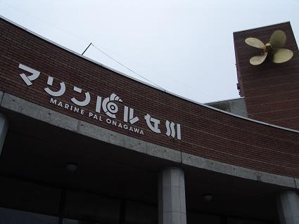 DSC03449-1