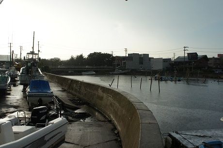 DSC07726-1