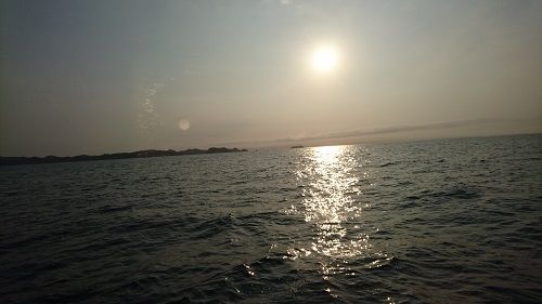 DSC_3736-1