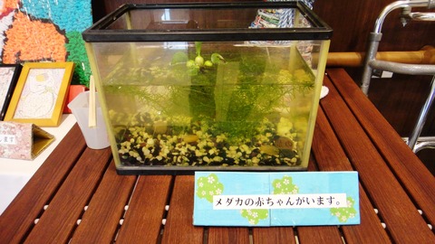 委員会 : （医） 西口整形外科 スタッフのblog