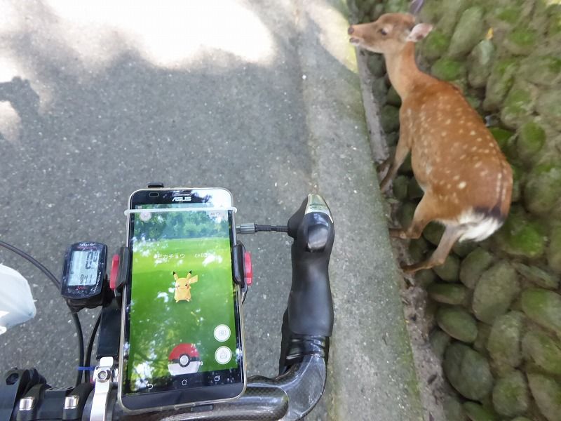 自転車でポケモンgo 奈良公園でピカチュウをゲット モビリオ スパイク車中泊 京都ポタ自転車日記