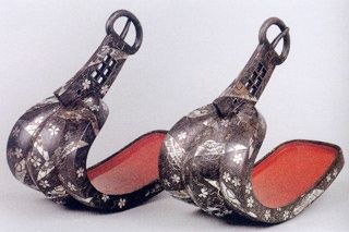 武蔵鐙 ムサシアブミ 蝮草 マムシグサ お星様のなんでも探検 武蔵鐙 ムサシアブミ 蝮草 マムシグサ お星様のなんでも探検