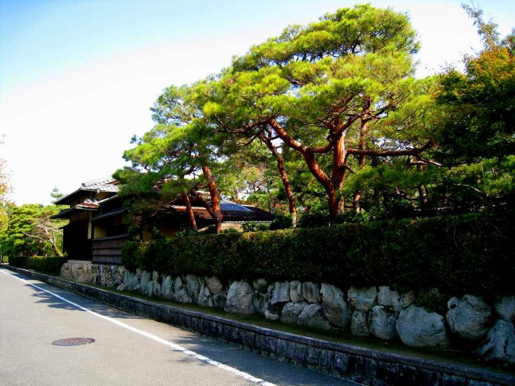 野村別邸 碧雲荘 お星様のなんでも探検